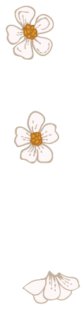 A picture containing flower, plant

Description automatically generated